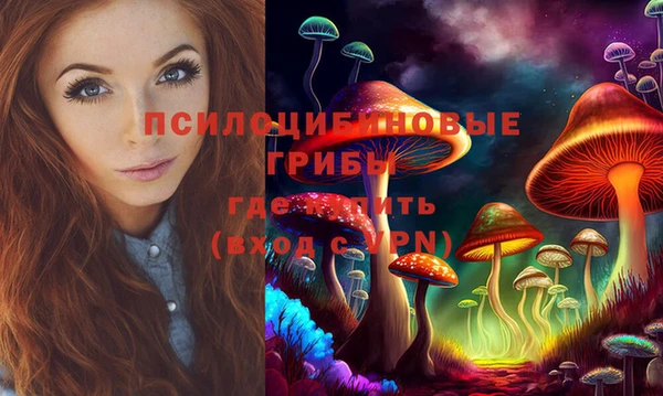 скорость Абаза