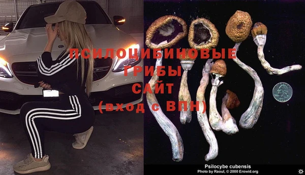 скорость Абаза