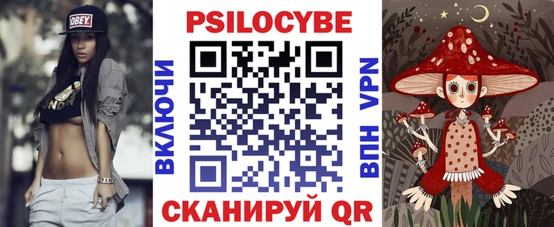 Галлюциногенные грибы Psilocybine cubensis blacksprut ссылки Дубовка